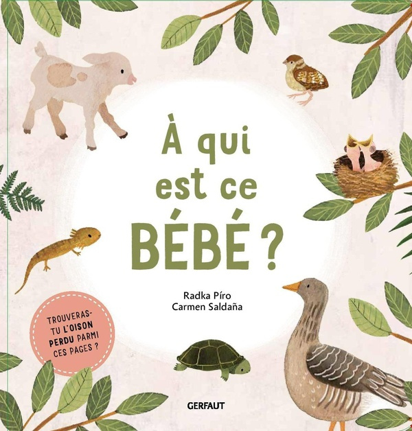 Emprunter A qui est ce bébé ? livre