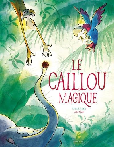 Emprunter Le caillou magique livre
