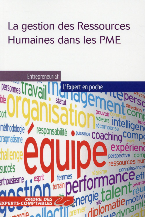 Emprunter La gestion des Ressources Humaines dans les PME livre