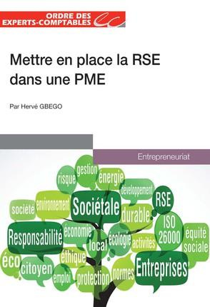 Emprunter Mettre en place la RSE dans les PME livre