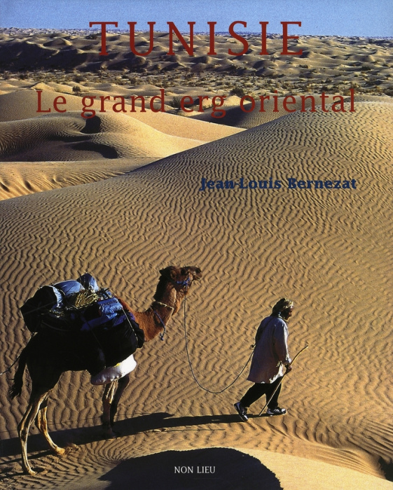 Emprunter Tunisie. Le grand erg oriental livre