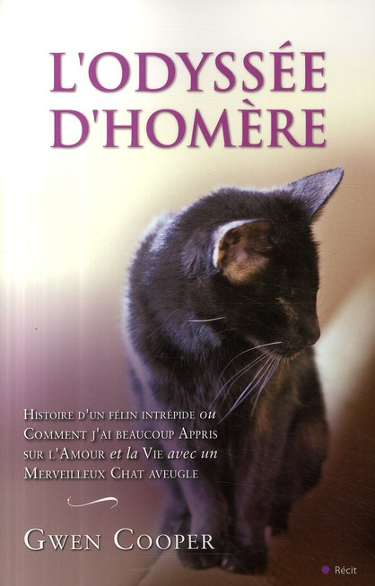 Emprunter L'Odyssée d'Homère livre
