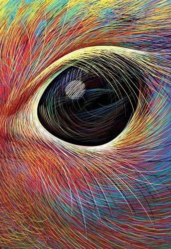 Emprunter Les Idées sont de drôles de bestioles livre