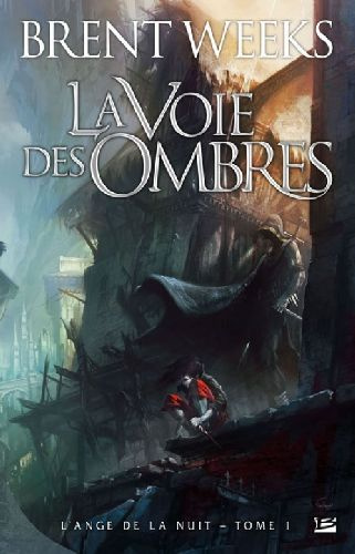 Emprunter L'ange de la nuit Tome 1 : La Voie des ombres livre