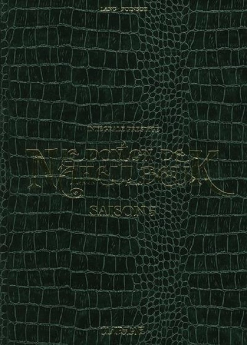 Emprunter Le Donjon de Naheulbeuk Saison 5 : Intégrale prestige livre