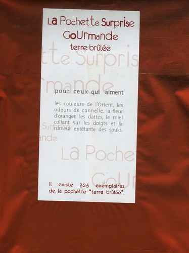 Emprunter POCHETTE SURPRISE TERRE BRULEE livre