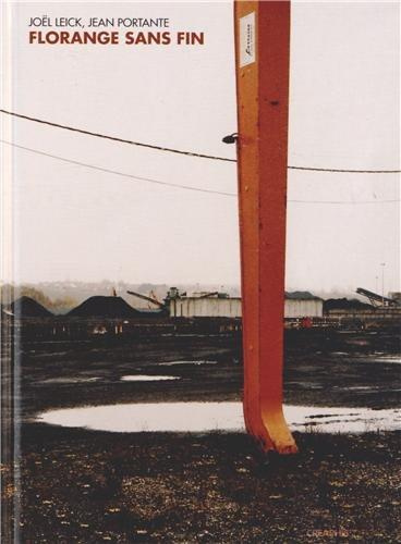 Emprunter Florange sans fin livre