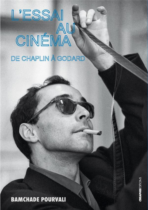 Emprunter L'essai au cinéma . De Chaplin à Godard livre
