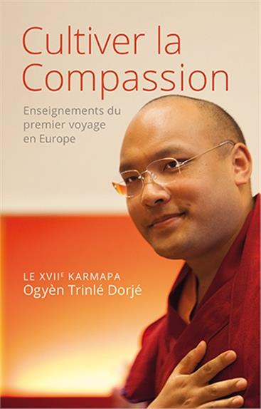 Emprunter Cultiver la compassion livre