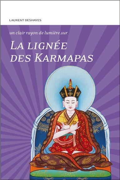 Emprunter Un clair rayon de lumière sur la lignée des karmapas livre