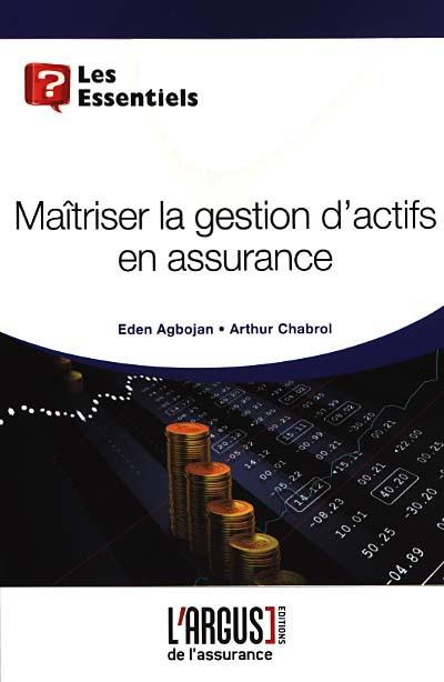 Emprunter Maîtriser la gestion des actifs en assurance livre