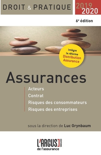 Emprunter Assurances. Acteurs, contrat, risques des consommateurs, risques des entreprises, Edition 2019-2020 livre