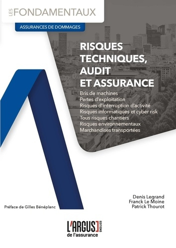 Emprunter Risques techniques, audit et assurance livre