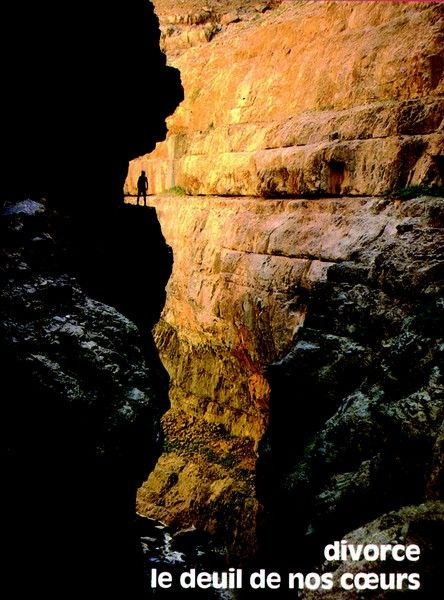 Emprunter DIVORCE, LE DEUIL DE NOS COEURS livre