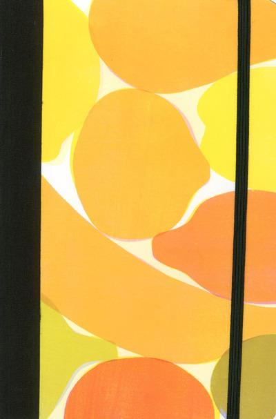 Emprunter Carnet citron livre