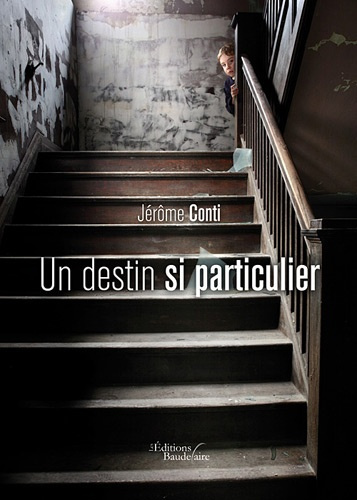 Emprunter Un destin si particulier livre
