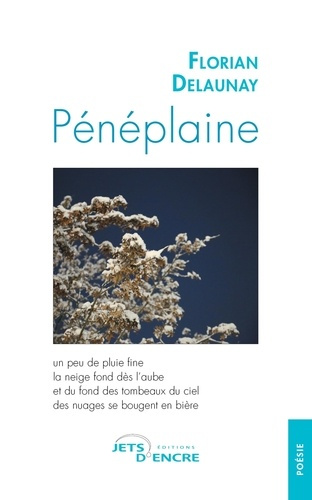 Emprunter Pénéplaine livre