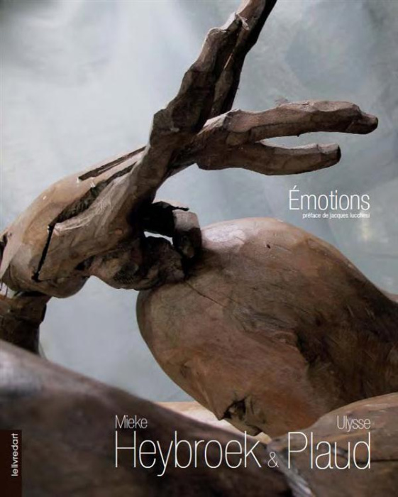 Emprunter Emotions. Edition bilingue français-anglais livre