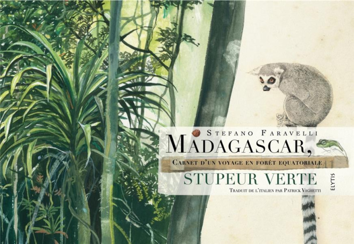 Emprunter Madagascar, stupeur verte. Carnet d'un voyage en forêt équatoriale livre