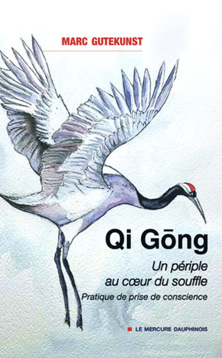 Emprunter QI GONG - UN PERIPLE AU COEUR DU SOUFFLE - PRATIQUE DE PRISE DE CONSCIENCE livre