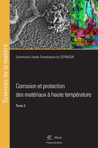 Emprunter Corrosion et protection des matériaux à haute température. Tome 2 livre