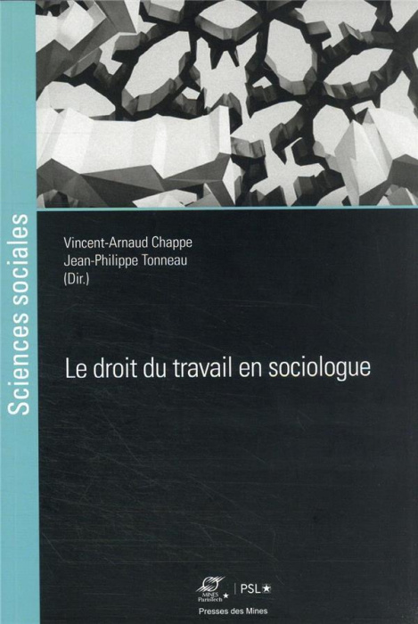 Emprunter Le droit du travail en sociologue livre