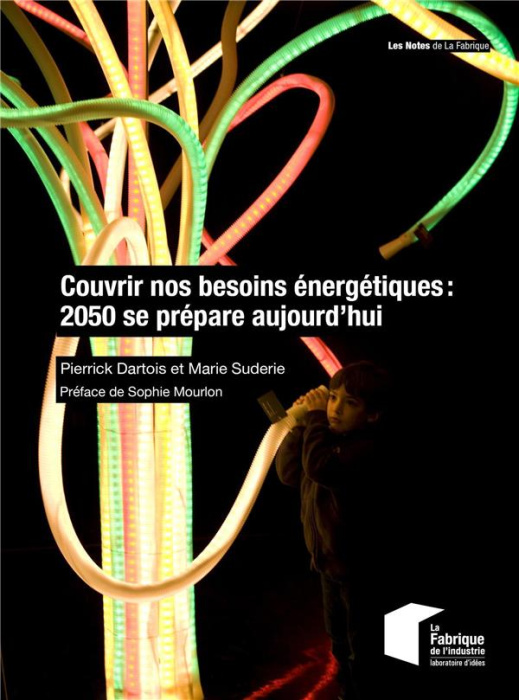 Emprunter Couvrir nos besoins énergétiques : 2050 se prépare aujourd'hui livre