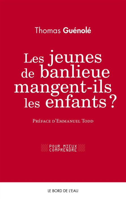 Emprunter Les jeunes de banlieue mangent-ils les enfants ? livre