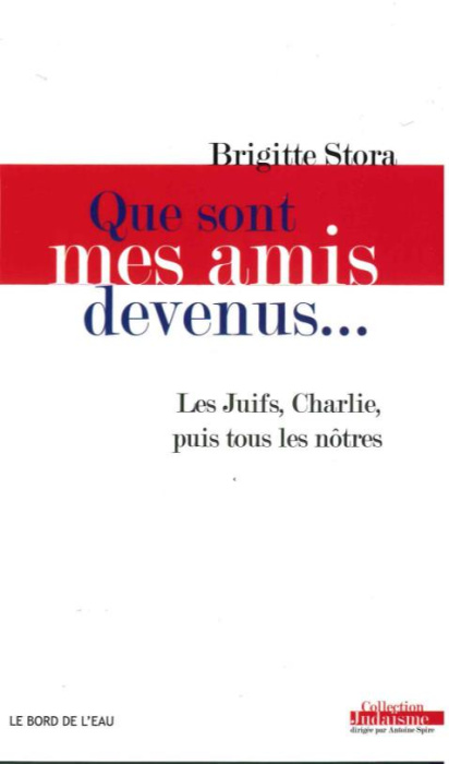 Emprunter Que sont mes amis devenus... Les Juifs, Charlie, puis tous les nôtres livre