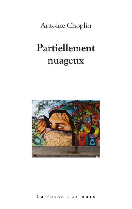 Emprunter Partiellement nuageux livre