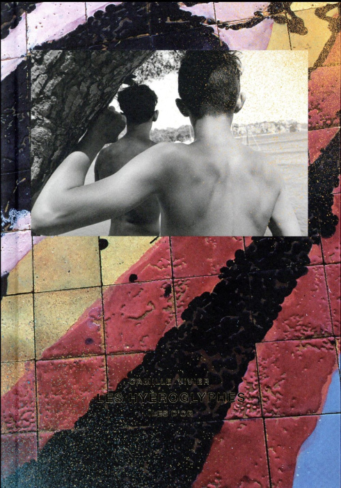 Emprunter Camille Vivier. Les Hyèroglyphes, îles d'or livre