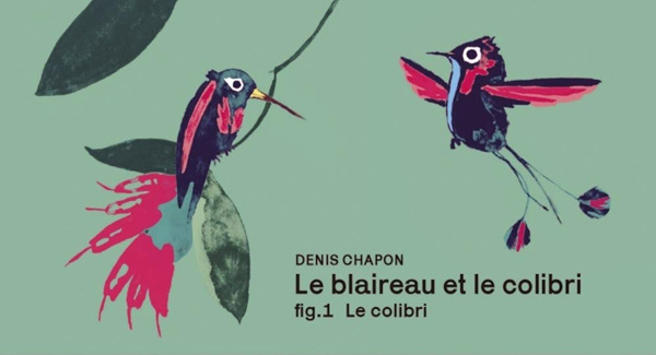Emprunter Le blaireau et le colibri livre