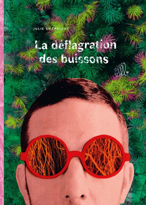 Emprunter La Déflagration des buissons livre