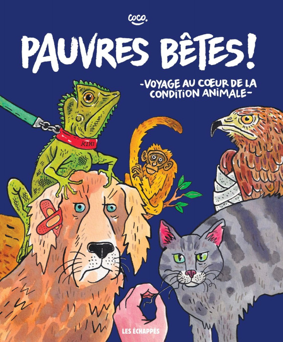 Emprunter Pauvres bêtes ! Voyage au coeur de la condition animale livre