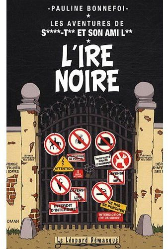 Emprunter Les aventures de Saint-Tin et son ami Lou Tome 7 : L'ire noire livre