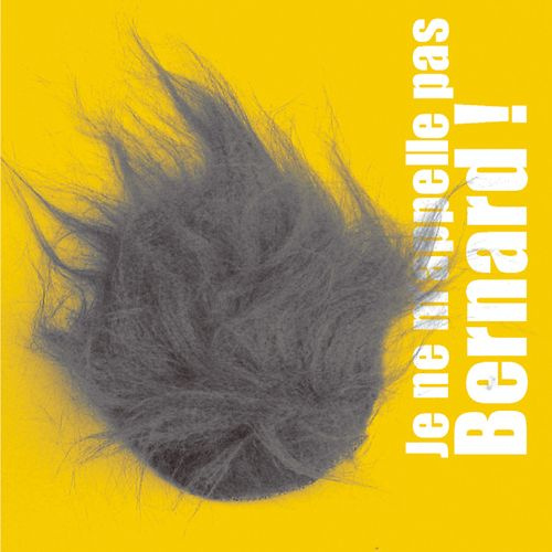 Emprunter Je ne m'appelle pas Bernard ! livre