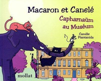 Emprunter Macaron et Canelé : Capharnaüm au Muséum livre