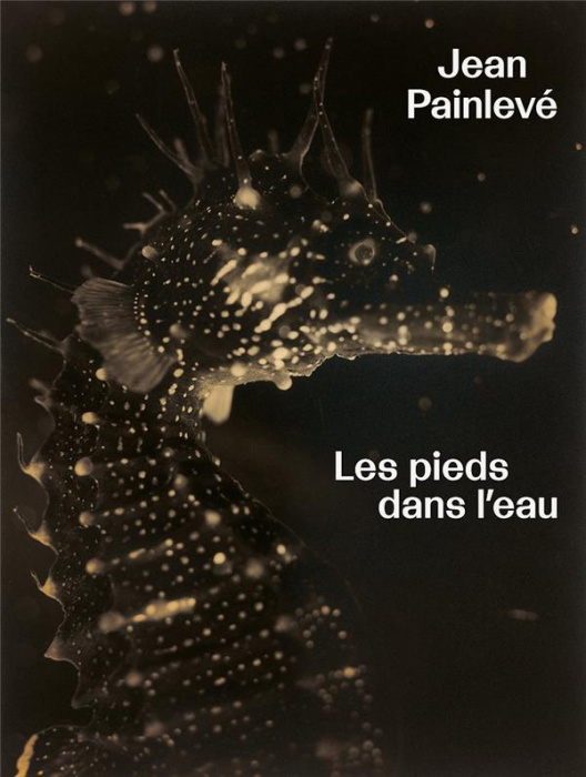 Emprunter JEAN PAINLEVE LES PIEDS DANS L livre