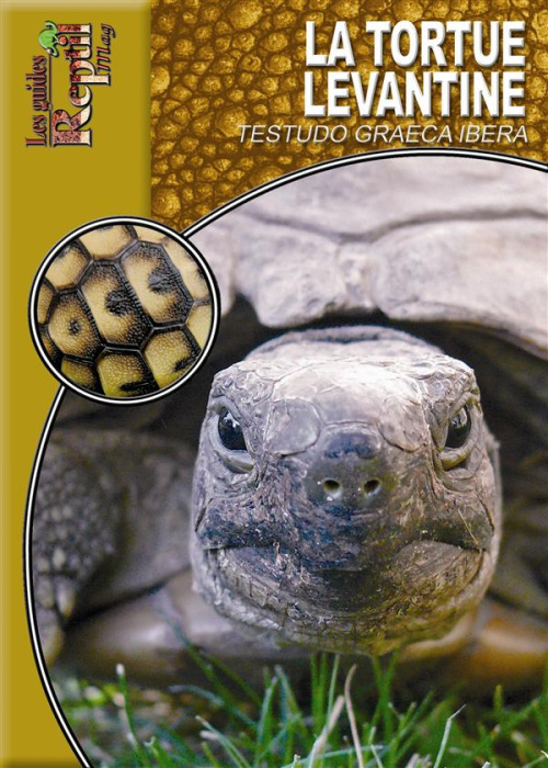 Emprunter La tortue levantine livre