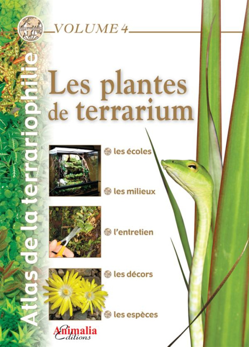 Emprunter Les plantes de terrarium livre