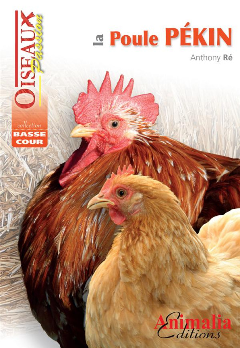 Emprunter La poule Pékin livre