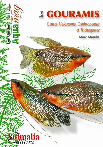 Emprunter Les gouramis livre