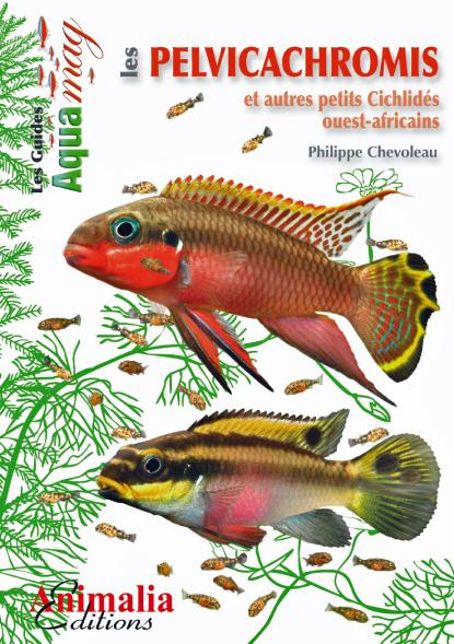 Emprunter Les pelvicachromis et autres petits cichlides ouest-africains livre