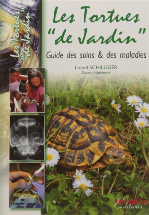 Emprunter Les tortues 