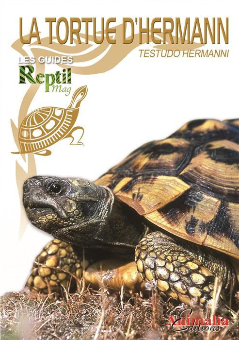 Emprunter La tortue d'Hermann. Testudo hermanni livre