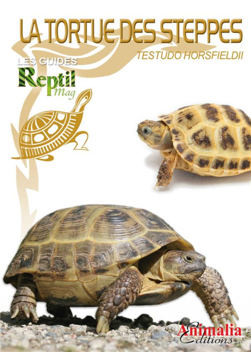 Emprunter La tortue des steppes. Testudo horsfieldii livre