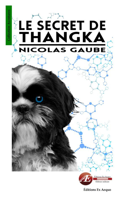 Emprunter Le secret de Thangka livre