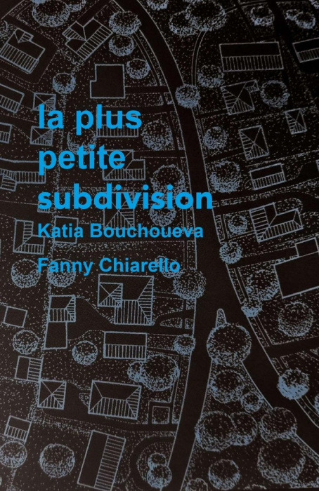 Emprunter La plus petite subdivision livre