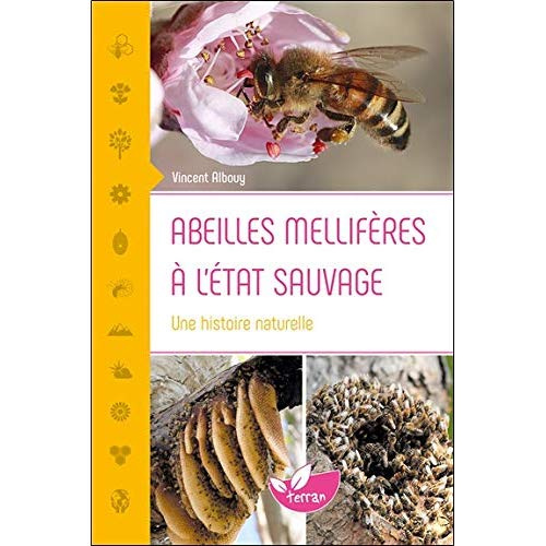 Emprunter Abeilles mellifères à l'état sauvage. Une histoire naturelle livre