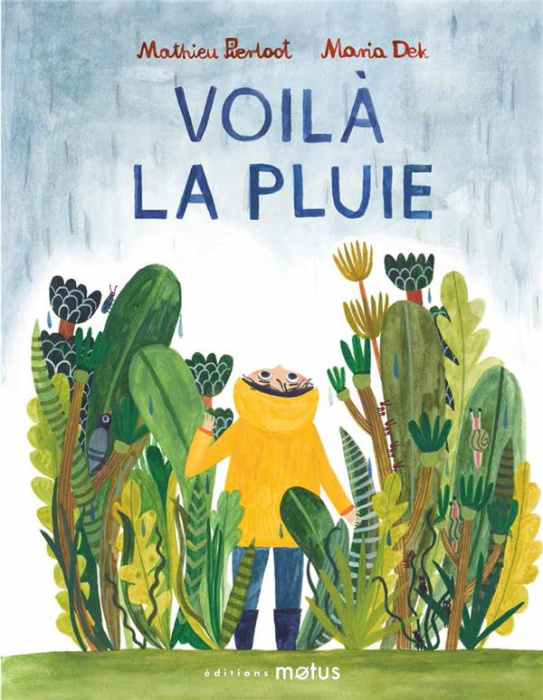 Emprunter Voilà la pluie livre